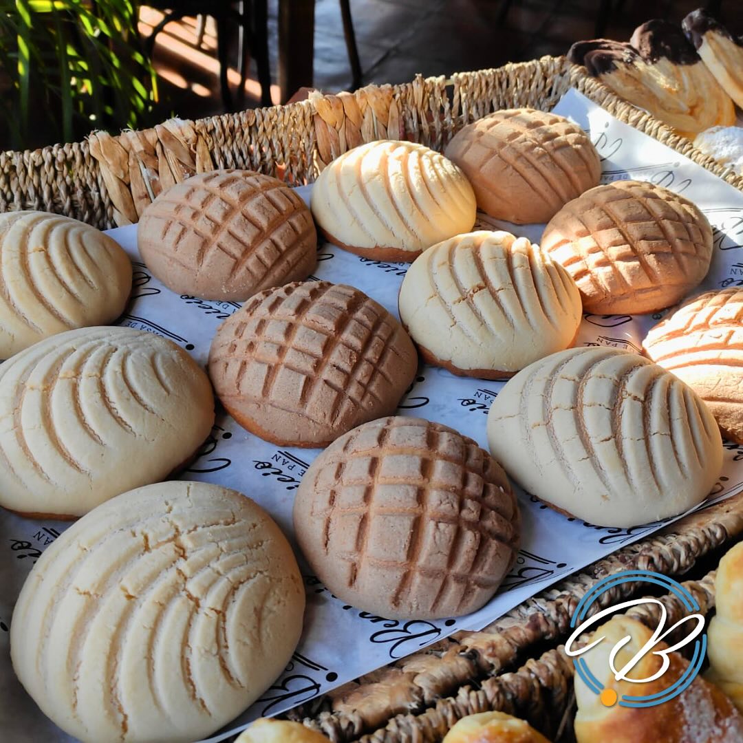 Concha de Vainilla o Chocolate